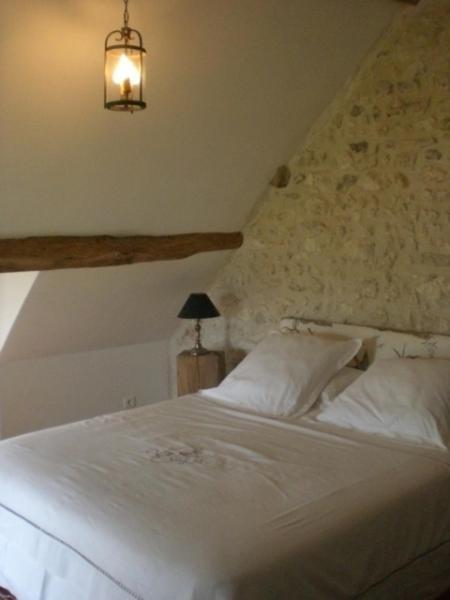 Bed and Breakfast La Touche à Menetou-sur-Nahon Chambre photo